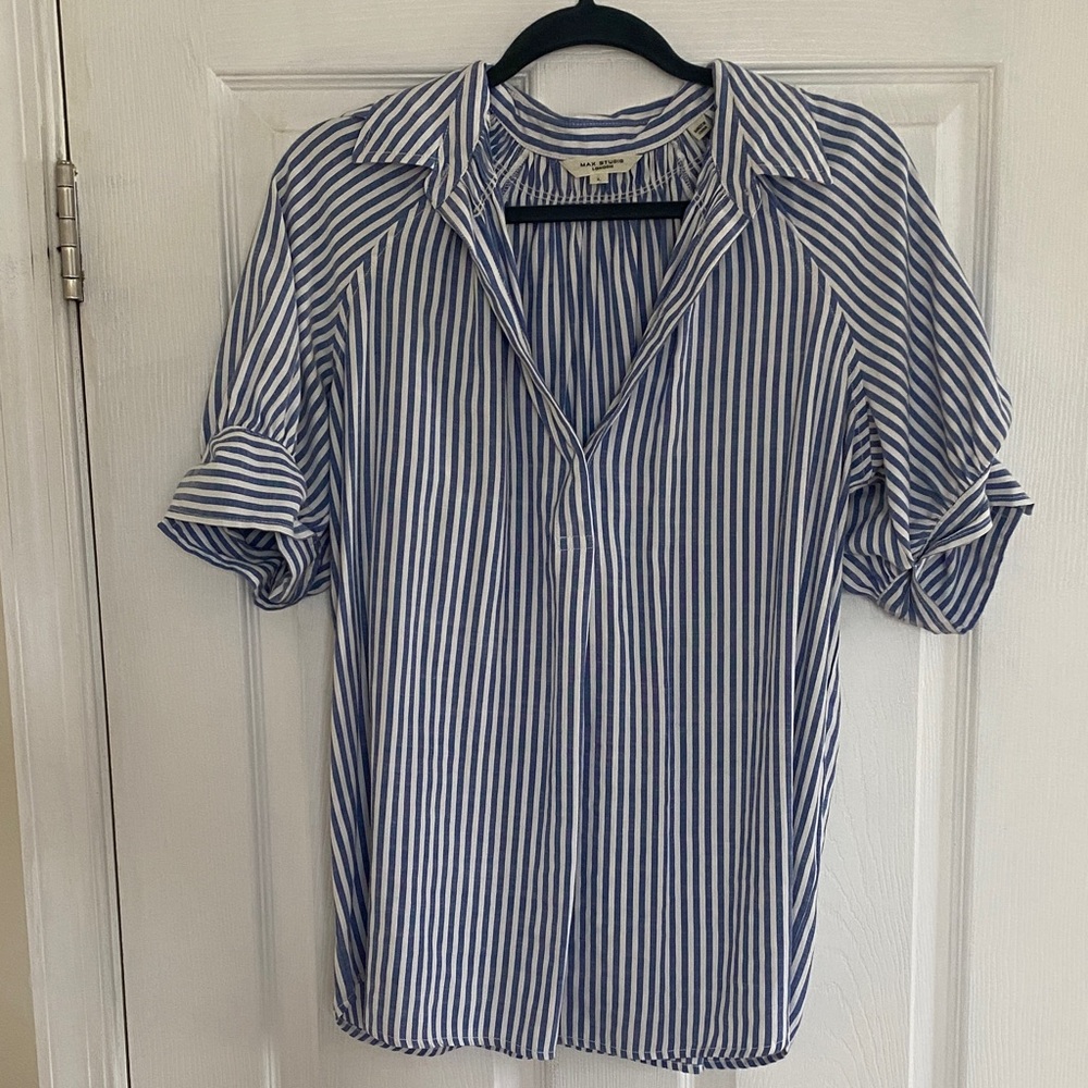 Max Studio Blue and White Striped Casual Shirt